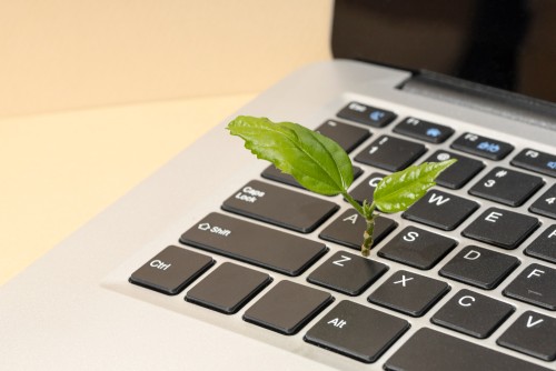 Adopter des gestes écoresponsables en travaillant depuis chez soi grâce au Green IT