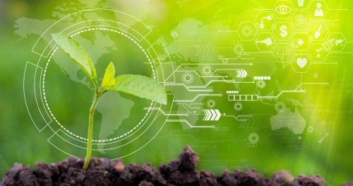 Clean Tech: Why the best time to net a climate-tech job is probably now