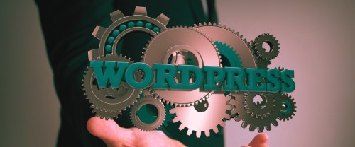 Comment limiter l’impact écologique d’un site internet WordPress ?
