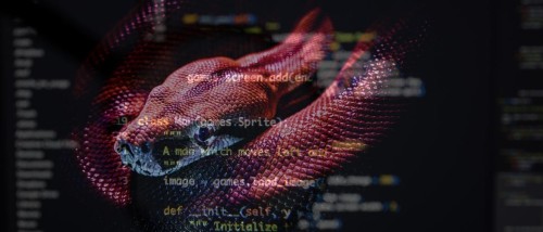 Développer en Python : 5 conseils pour progresser rapidement