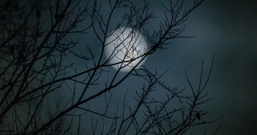 Freelancer horror stories - and how to avoid the same terrifying fate