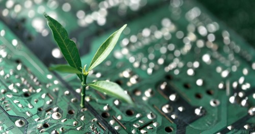 Green IT: a freelancer’s guide to environmental tech jobs