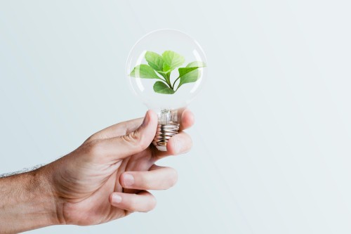 Les entreprises face à la montée des green skills