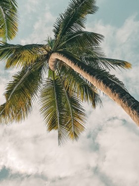 Nouvelle loi : votre employeur peut vous imposer jusqu’à huit jours de congés payés !