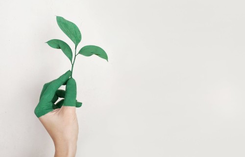 Numérique responsable et green coding : les tendances à suivre