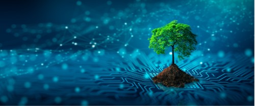Quels sont les avantages du Green IT ?