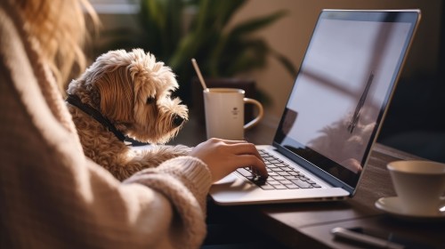 Télétravail à 100 % dans l'IT : avantages réels et pièges à éviter