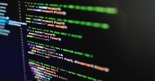 The most popular programming languages of 2024