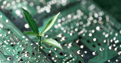Upskilling in green IT skills and why it's worth your attention