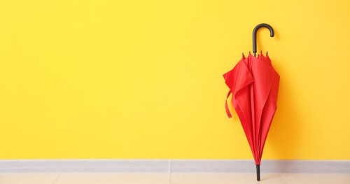 What are five pros and cons of an umbrella company?